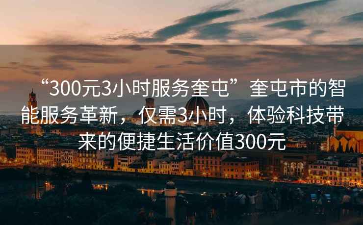 “300元3小时服务奎屯”奎屯市的智能服务革新，仅需3小时，体验科技带来的便捷生活价值300元