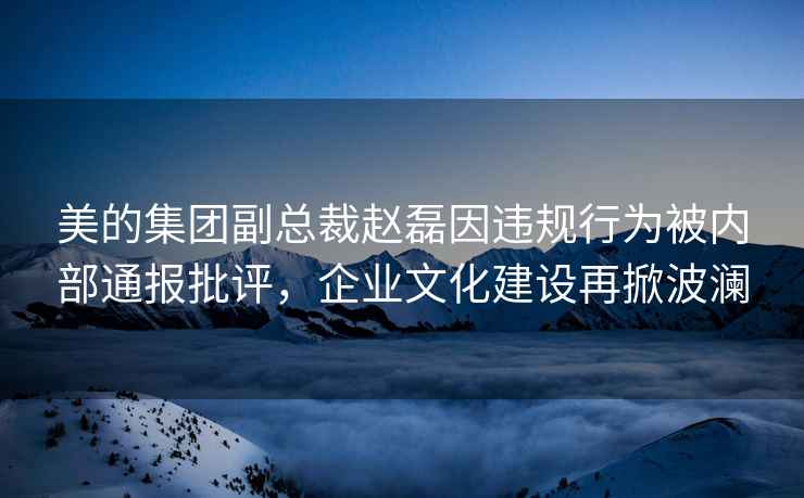 美的集团副总裁赵磊因违规行为被内部通报批评，企业文化建设再掀波澜