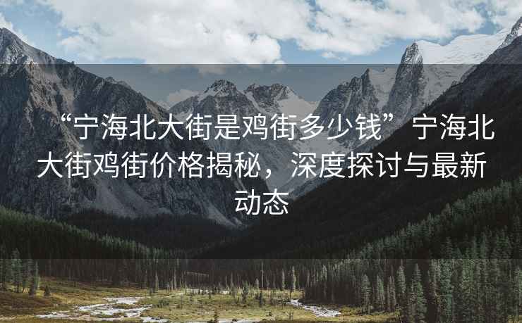 “宁海北大街是鸡街多少钱”宁海北大街鸡街价格揭秘，深度探讨与最新动态