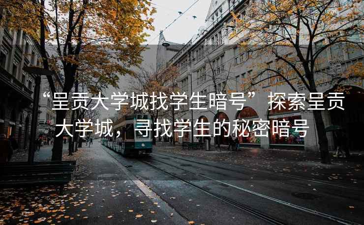 “呈贡大学城找学生暗号”探索呈贡大学城，寻找学生的秘密暗号