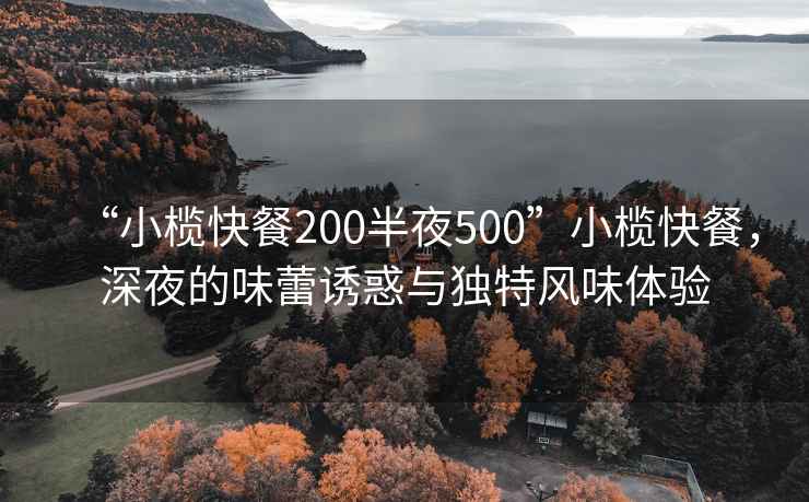 “小榄快餐200半夜500”小榄快餐，深夜的味蕾诱惑与独特风味体验