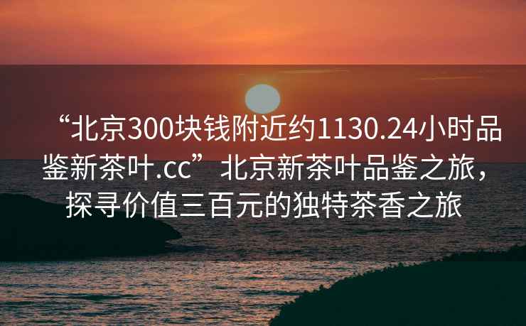 “北京300块钱附近约1130.24小时品鉴新茶叶.cc”北京新茶叶品鉴之旅，探寻价值三百元的独特茶香之旅