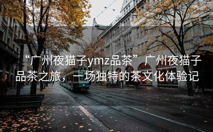 “广州夜猫子ymz品茶”广州夜猫子品茶之旅，一场独特的茶文化体验记