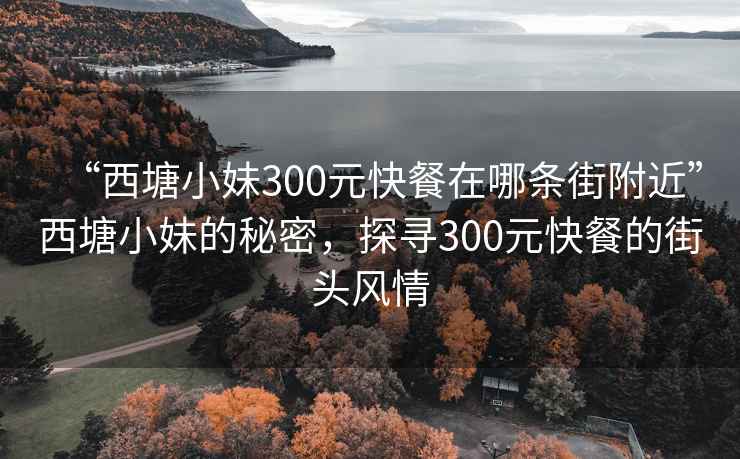 “西塘小妹300元快餐在哪条街附近”西塘小妹的秘密，探寻300元快餐的街头风情