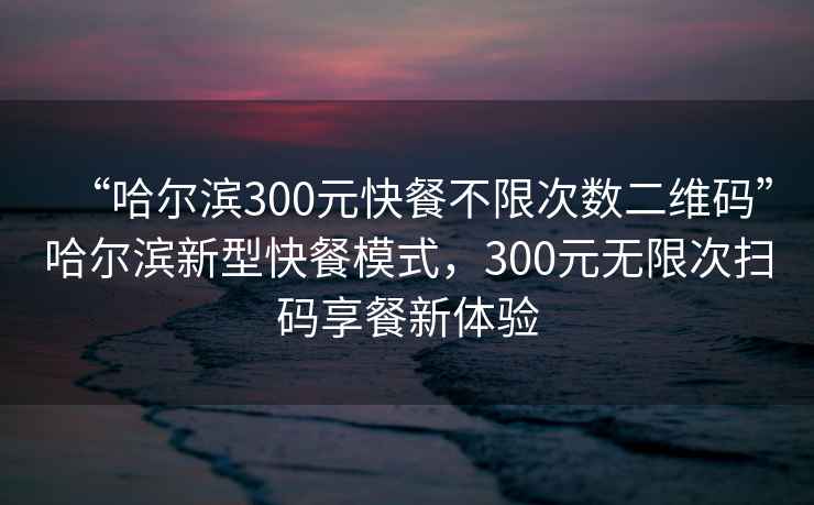 “哈尔滨300元快餐不限次数二维码”哈尔滨新型快餐模式，300元无限次扫码享餐新体验