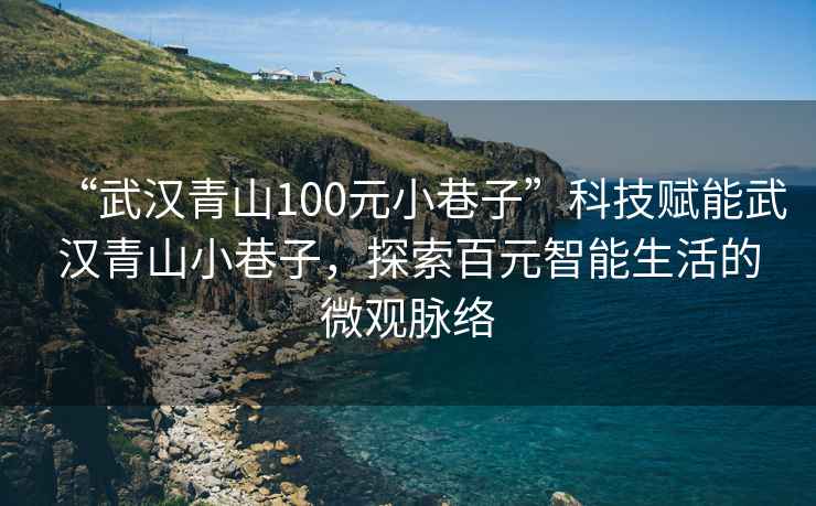 “武汉青山100元小巷子”科技赋能武汉青山小巷子，探索百元智能生活的微观脉络