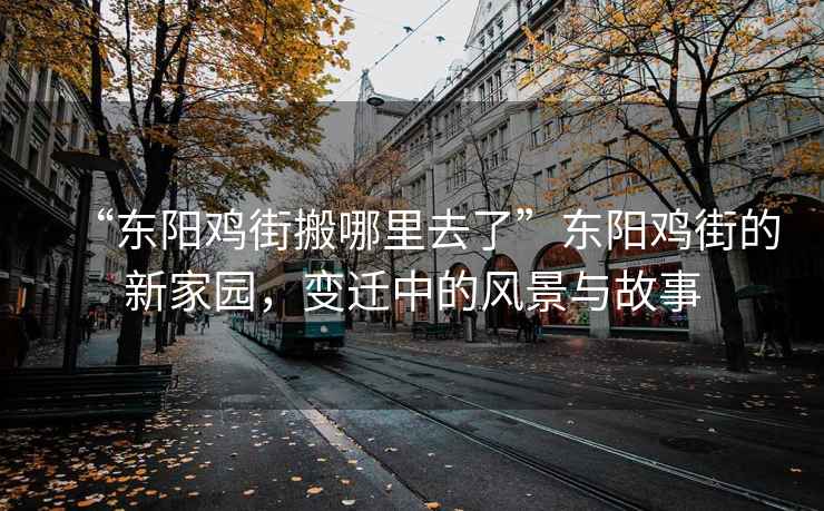 “东阳鸡街搬哪里去了”东阳鸡街的新家园，变迁中的风景与故事