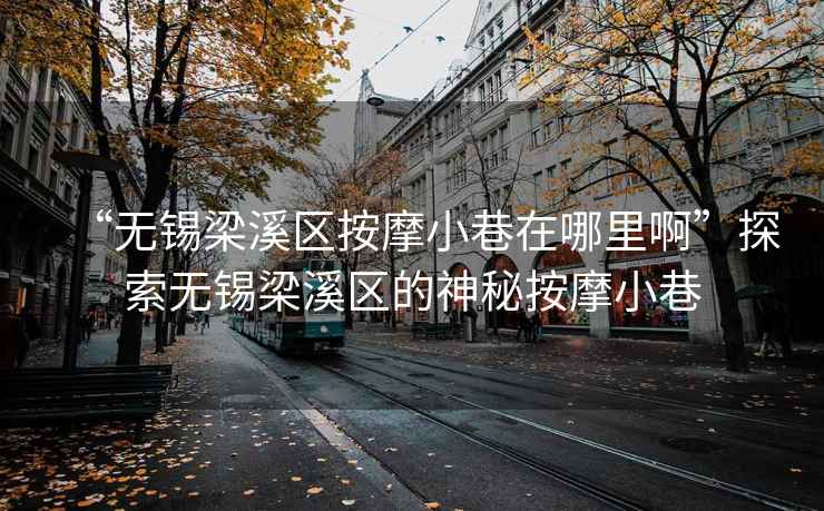 “无锡梁溪区按摩小巷在哪里啊”探索无锡梁溪区的神秘按摩小巷