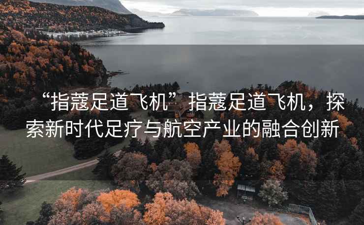 “指蔻足道飞机”指蔻足道飞机，探索新时代足疗与航空产业的融合创新