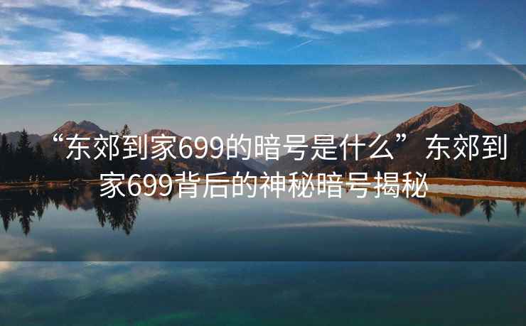 “东郊到家699的暗号是什么”东郊到家699背后的神秘暗号揭秘